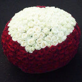 Blooms and Breezes Love